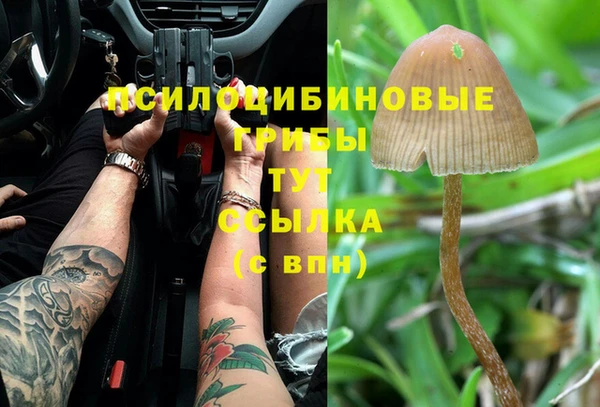 гашишное масло Абинск