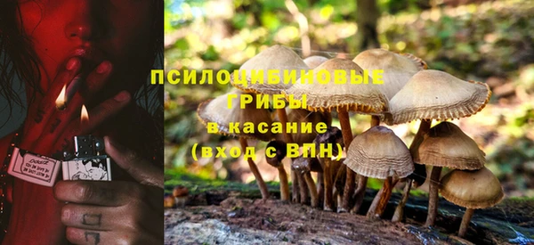 MESCALINE Алзамай
