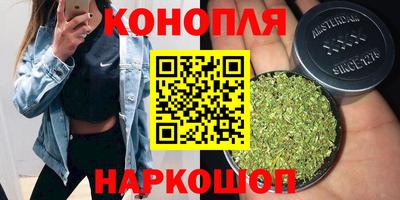 ГАЛЛЮЦИНОГЕННЫЕ ГРИБЫ Свободный