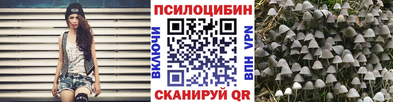 Галлюциногенные грибы Cubensis  Октябрьский 