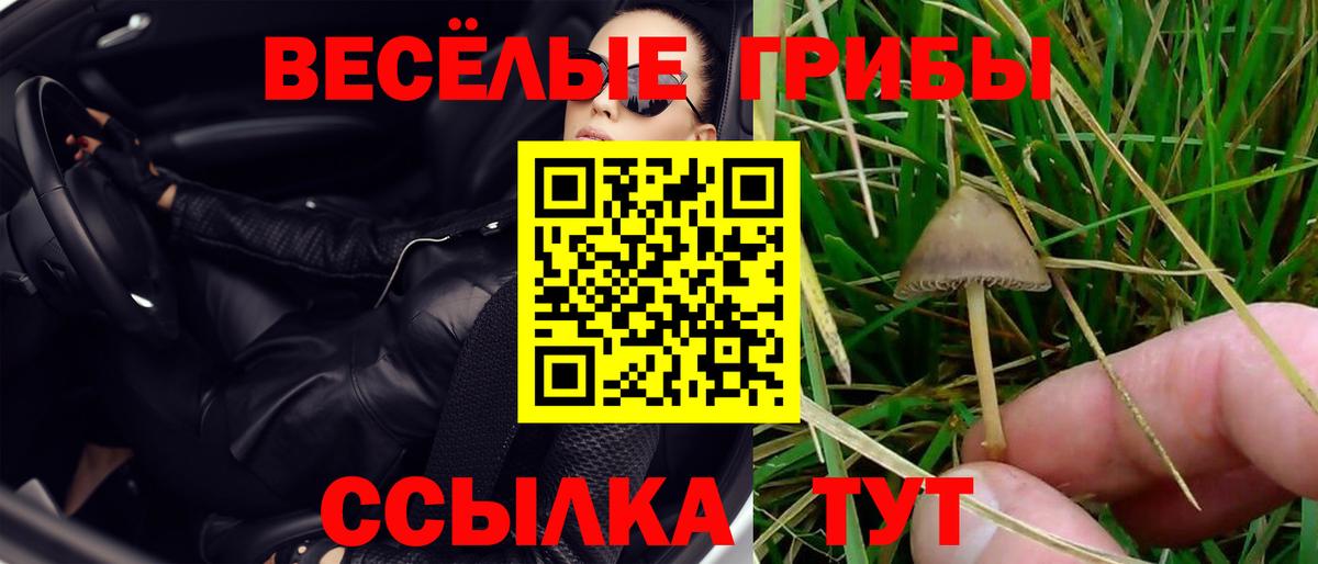Галлюциногенные грибы мухоморы Октябрьский