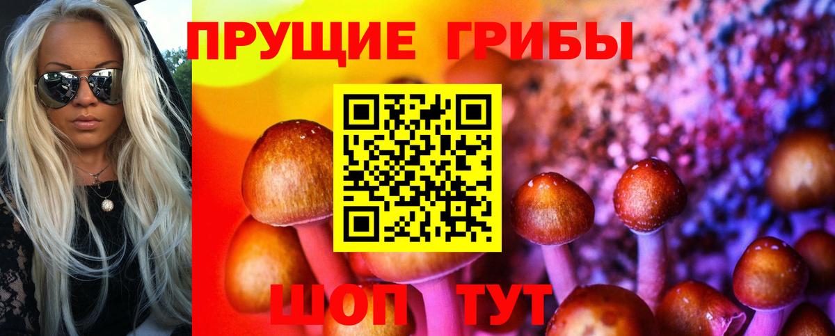 закладки  Вход с VPN  Октябрьский  Галлюциногенные грибы прущие грибы 